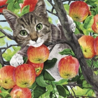Servietter kat i æbletræ