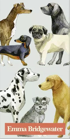 Papir lommetørklæder