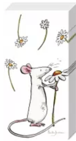 Papir lommetørklæder