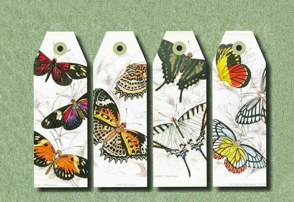 Naturhistorisk papir hobbybog