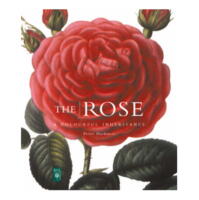 The Rose: A Colourful Inheritance (Minibog)
